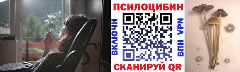 Галлюциногенные грибы мухоморы  мега ONION  Собинка 